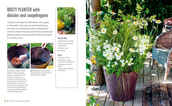 Produktbild: Small Summer Gardens