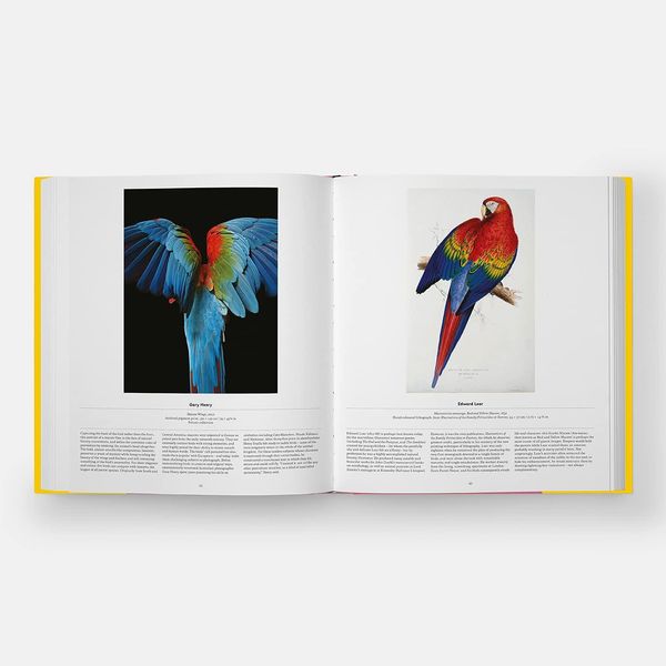 Produktbild: Bird: Exploring the Winged World