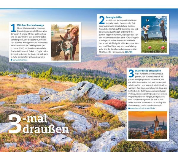 Produktbild: Harz