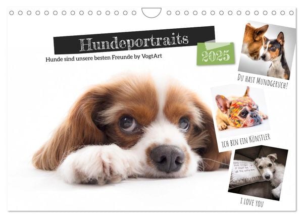 Hundeportraits, Hunde sind unsere besten Freunde by VogtArt (Wandkalender 2025 DIN A4 quer), CALVENDO Monatskalender