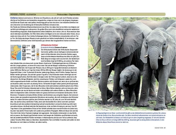 Produktbild: Safari-Reisef&uuml;hrer Ostafrika
