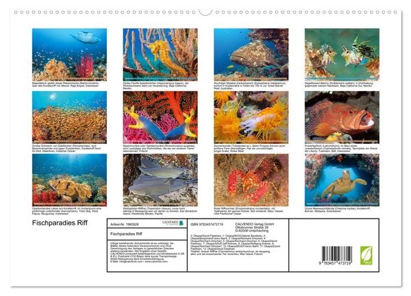 Produktbild: Fischparadies Riff (hochwertiger Premium Wandkalender 2026 DIN A2 quer), Kunstdruck in Hochglanz