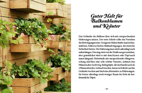 Produktbild: Das kleine Buch: Topfg&auml;rtner