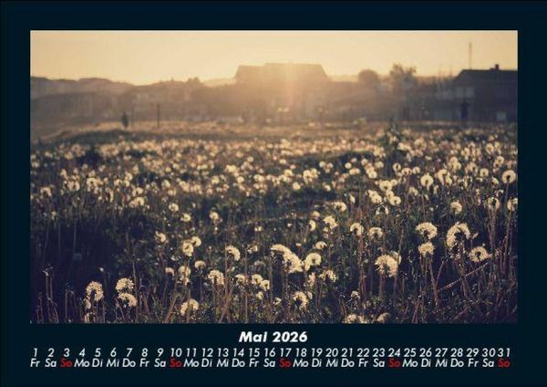 Produktbild: Bilder der Natur 2026 Fotokalender DIN A5