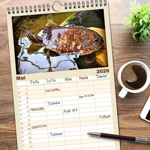 Produktbild: Familienplaner 2026 - Schmuckschildkr&ouml;ten - Schmuckst&uuml;cke der Natur mit 5 Spalten (Wandkalender, 21 x 45 cm) CALVENDO