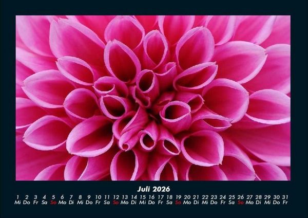 Produktbild: Blumentr&auml;ume 2026 Fotokalender DIN A4