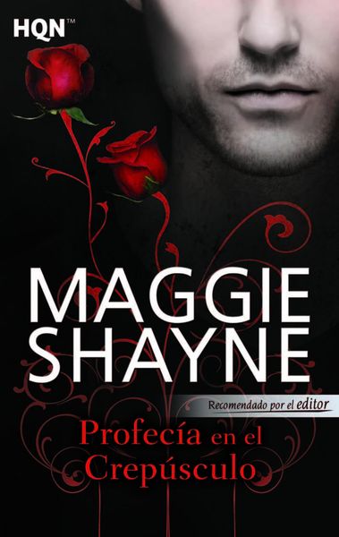 Produktbild: Twilight Prophecy