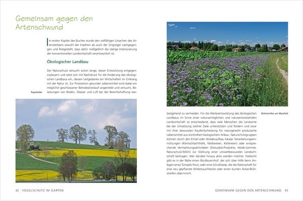 Rettet die Vögel! Lebensraum, Fütterung, Nisthilfen, Vogelschutzprojekte