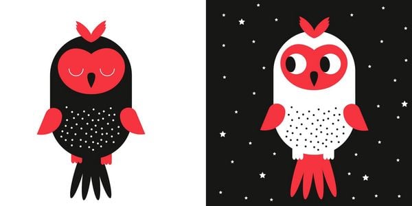 Produktbild: Mein allererstes Kontraste-Buch: Gute Nacht &ndash; f&uuml;r Babys von 0&ndash;12 Monaten