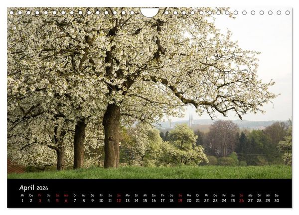 Produktbild: Billerbeck - Perle der Baumberge (Wandkalender 2026 DIN A4 quer), CALVENDO Monatskalender