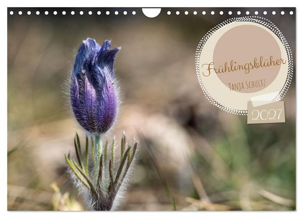 Produktbild: Fr&uuml;hlingsbl&uuml;her - Farbenpracht nach dem Winter (Wandkalender 2027 DIN A4 quer), CALVENDO Monatskalender