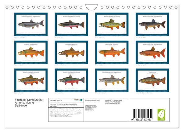 Produktbild: Fisch als Kunst 2026: Amerikanische Saiblinge (Wandkalender 2026 DIN A4 quer), CALVENDO Monatskalender