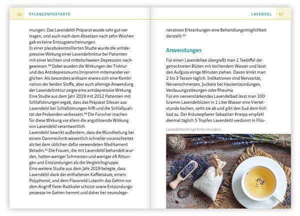 Produktbild: Heilsame K&uuml;chenkr&auml;uter