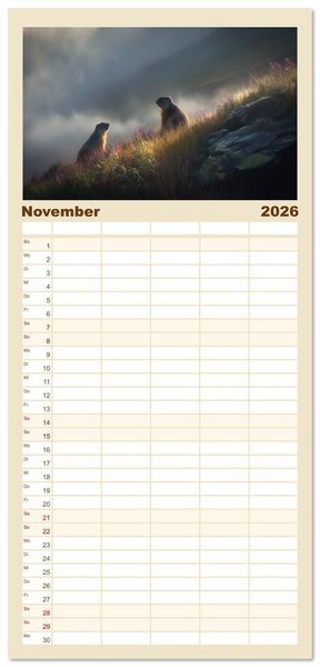 Produktbild: Familienplaner 2026 - Alpenpl&uuml;sch - Mit Murmeltieren durchs Jahr mit 5 Spalten (Wandkalender, 21 x 45 cm) CALVENDO