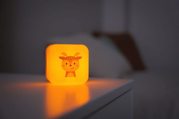 Produktbild: Cube B Reh
