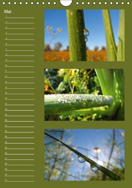 Produktbild: Zauberwelt der Blumen - Eiskristalle & Wasserperlen / Geburtstagskalender (Wandkalender immerw&auml;hrend DIN A4 hoch)