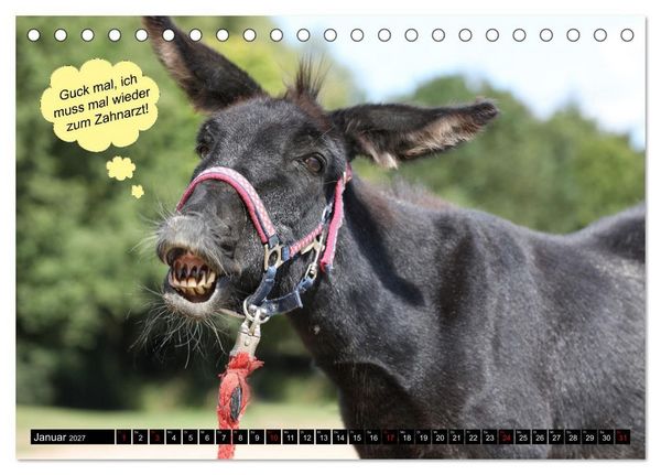 Produktbild: Wenn Tiere sprechen k&ouml;nnten! Der lustige Spr&uuml;che Kalender (Tischkalender 2027 DIN A5 quer), CALVENDO Monatskalender