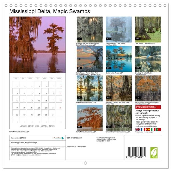 Produktbild: Mississippi Delta, Magic Swamps (Wall Calendar 2026 12 &times; 12 Inch) CALVENDO 12 Month Wall Calendar