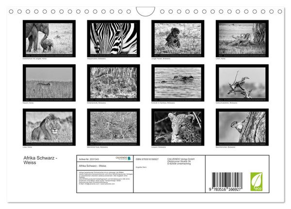 Produktbild: Afrika Schwarz - Weiss (Wandkalender 2026 DIN A4 quer), CALVENDO Monatskalender