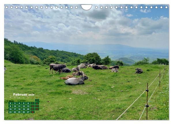 Produktbild: Herrliches Arno Tal - Wanderurlaub in der Toskana (Wandkalender 2026 DIN A4 quer), CALVENDO Monatskalender