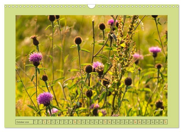 Produktbild: Wonderful Black Forest (Wall Calendar 2026 DIN A3 landscape), CALVENDO 12 Month Wall Calendar