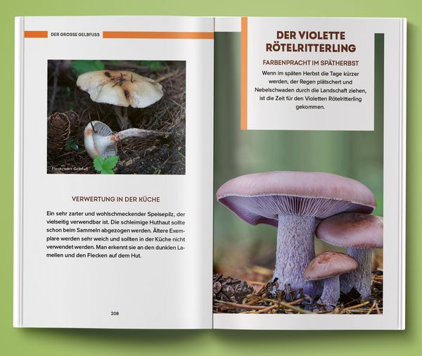 Produktbild: Unbekannte Leckereien: 30 Pilzarten, deren Geschmack dich &uuml;berraschen wird