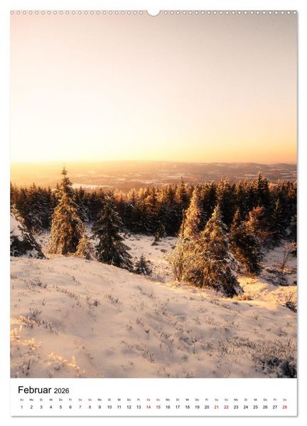 Produktbild: Mystischer Harz - Zwischen Licht und Schatten (Wandkalender 2026 DIN A2 hoch), CALVENDO Monatskalender
