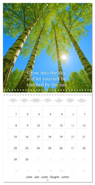 Produktbild: Let the moment guide you (Wall Calendar 2026 12 &times; 12 Inch) CALVENDO 12 Month Wall Calendar