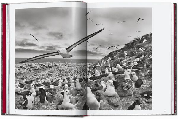 Produktbild: Sebasti&atilde;o Salgado