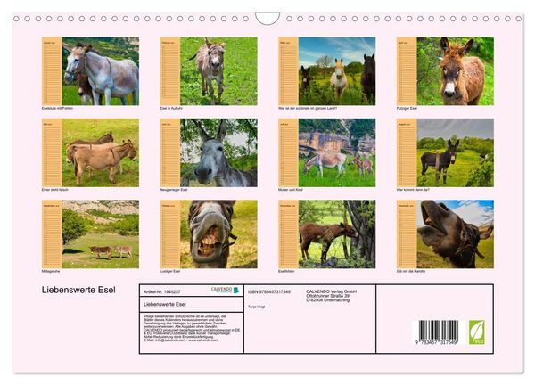 Produktbild: Liebenswerte Esel (Wandkalender 2026 DIN A3 quer), CALVENDO Monatskalender