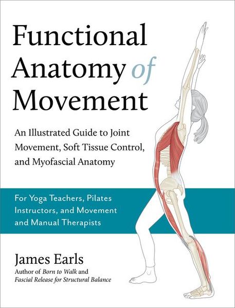 Produktbild: Functional Anatomy of Movement