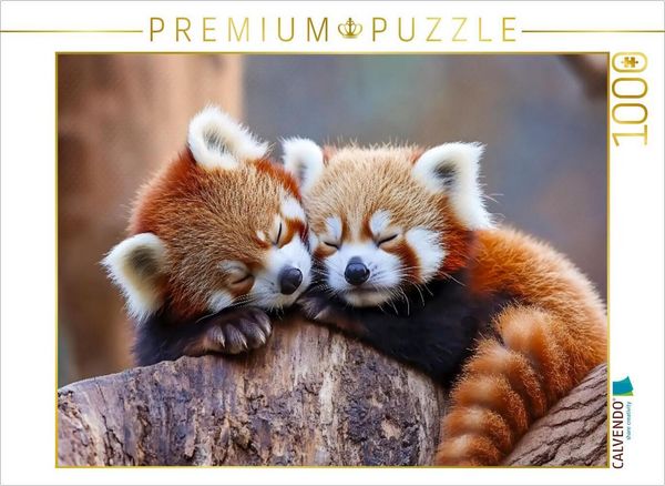 Produktbild: CALVENDO Puzzle Rote Panda | 1000 Teile Lege-Gr&ouml;&szlig;e 64x48cm Foto-Puzzle f&uuml;r gl&uuml;ckliche Stunden