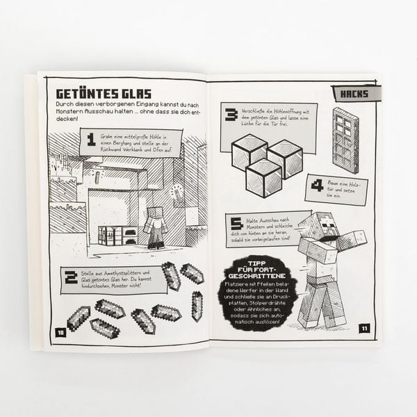 Minecraft Tipps, Tricks & Hacks. Über 200 Game Changer für schnellen Erfolg