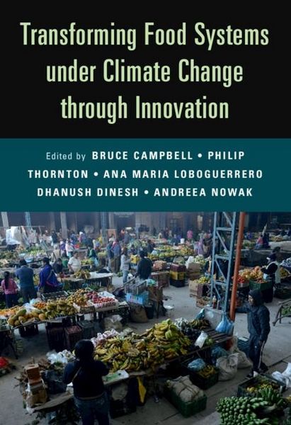 Produktbild: Transforming Food Systems Under Climate Change through Innovation