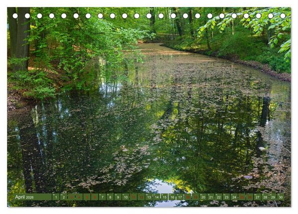 Produktbild: Das Steinfurter Bagno im Wandel der Jahreszeiten (Tischkalender 2026 DIN A5 quer), CALVENDO Monatskalender