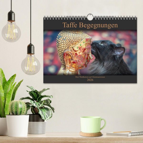Produktbild: Taffe Begegnungen-Drei Waldkatzen auf Abenteuerreisen (Wandkalender 2026 DIN A4 quer), CALVENDO Monatskalender