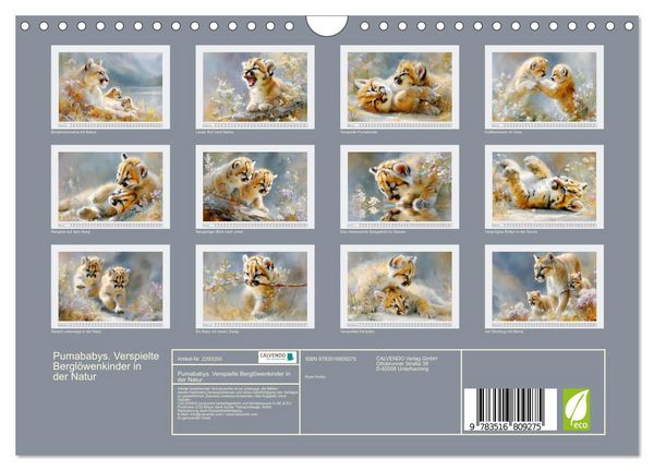 Produktbild: Pumababys. Verspielte Bergl&ouml;wenkinder in der Natur (Wandkalender 2027 DIN A4 quer), CALVENDO Monatskalender