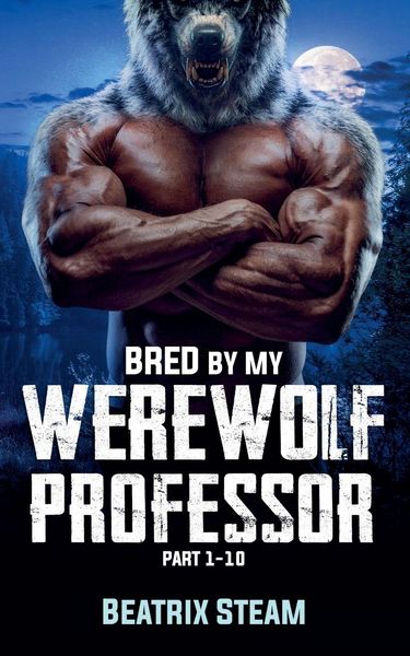 Produktbild: Bred by my Werewolf Professor Part 1 - 10