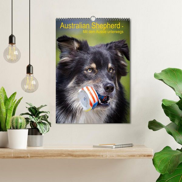 Produktbild: Australian Shepherd &ndash; Mit dem Aussie unterwegs (Wandkalender 2026 DIN A3 hoch), CALVENDO Monatskalender