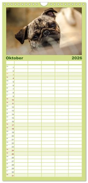 Produktbild: Familienplaner 2026 - M&ouml;pse mit 5 Spalten (Wandkalender, 21 x 45 cm) CALVENDO