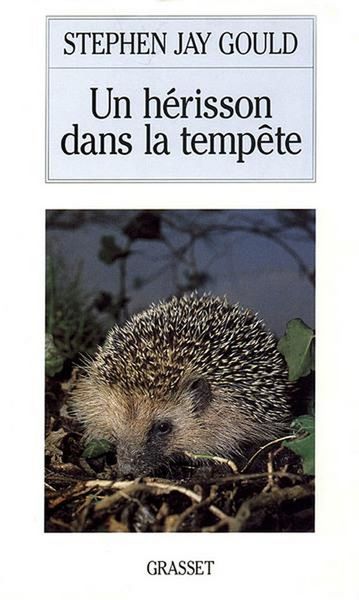 Produktbild: Un Herisson Dans La Tempete