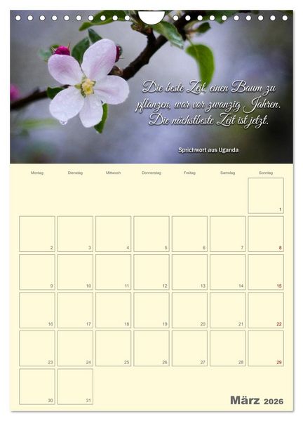 Produktbild: Gartenliebe (Wandkalender 2026 DIN A4 hoch), CALVENDO Monatskalender