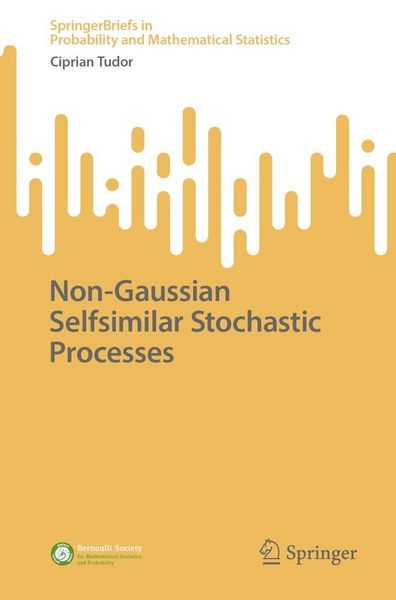 Produktbild: Non-Gaussian Selfsimilar Stochastic Processes