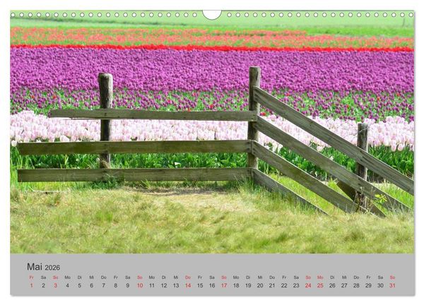 Produktbild: Impressionen von Texel (Wandkalender 2026 DIN A3 quer), CALVENDO Monatskalender