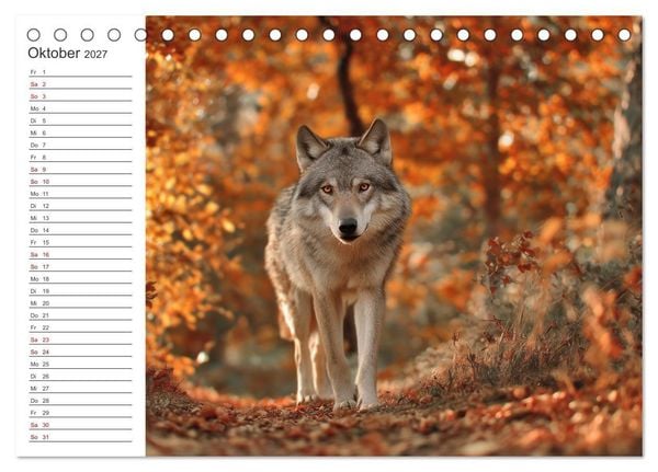 Produktbild: Die Seele der Wildnis (Tischkalender 2027 DIN A5 quer), CALVENDO Monatskalender