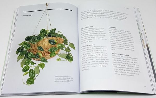 Produktbild: Gr&uuml;nes Zuhause