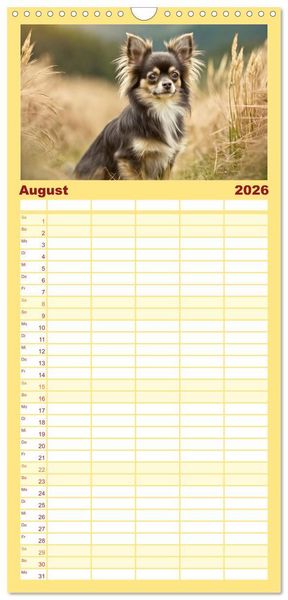 Produktbild: Familienplaner 2026 - Chihuahuas - Kleine Hunde - gro&szlig;e Temperamentb&uuml;ndel mit 5 Spalten (Wandkalender, 21 x 45 cm) CALVENDO