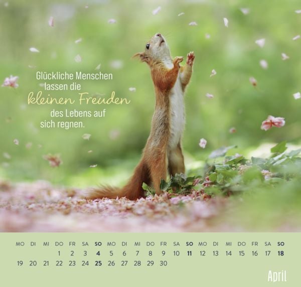 Produktbild: Wandkalender 2027: Kleine Gl&uuml;cksbringer f&uuml;r dein Jahr