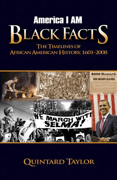 Produktbild: America I AM Black Facts