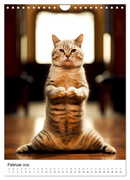 Produktbild: Miau Yoga (Wandkalender 2026 DIN A4 hoch), CALVENDO Monatskalender